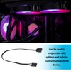 Be In Your Mind Pack of 2 25 cm 4-Pin