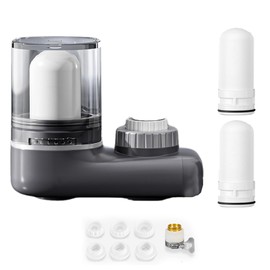 CLSSLVVBN Vertical Faucet Mount Water Filtration System Tap Water Treatment Filter with 2 Cartridges (Gray Transparent)
