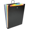 Viquel - Organiser Folder Rainbow, black, handbag organizer