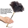 Aldwin Ostrich Feather Duster with Extension Pole Up to 43