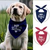 2 Pack Dog Birthday Bandana, Boy Girl Triangle Scarf for