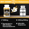 Beta-Ecdysterone Supplement 1200 mg | 98% Maximum Purity, 60 Pieces
