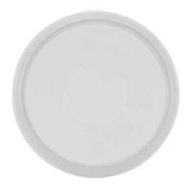 Eleven Discs 1½-Inch Translucent Plastic Discbound Notebook and Planner Expansion Discs for Circa, Arc, TUL (Set of 22)