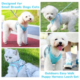 PETPUBGNZS Soft Small Dog Harness and Leash Set Mesh Puppy Harnesses Leash Easy Walk Dog Harness Vest Adjustable Reflective No Pull Dog Harnesses for Small Dogs Cats (Blue Grey,XXS)