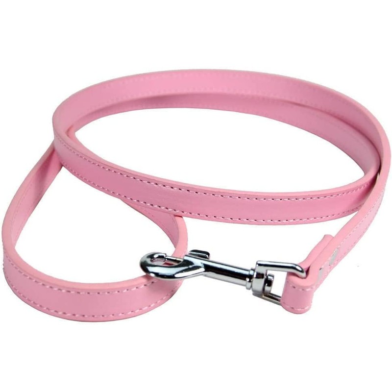 Vibrant Leather Dog Collar & Lead Combo Set for Puppy,