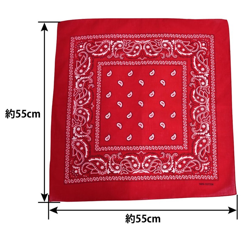 DF Gallery Bandana Hair Accessory Dance Costume Accessories Paisley Cotton