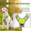 ThinkPet No Pull Harness Breathable Sport Harness with Handle-Dog Harnesses