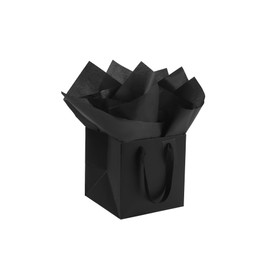 ADIDO EVA 10Pcs Square Gift Bags with Tissue Paper Small Black Square Gift Bags with Handles for Party Favor (6x6x6 In, Black)