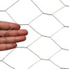 20GA Galvanized Hexagonal Poultry Netting Chicken Wire 12 inches x