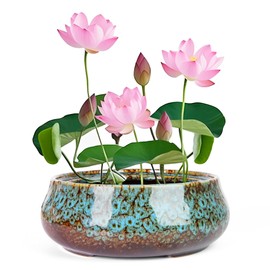 Lotus Bowl Planter - 8 Inch Large Lotus Flower Bowl for Water Plants, Ceramic Hydroponic Planter Water Lily Bowl for Planting Aquatic and Indoor Succulent Plants and Bonsai