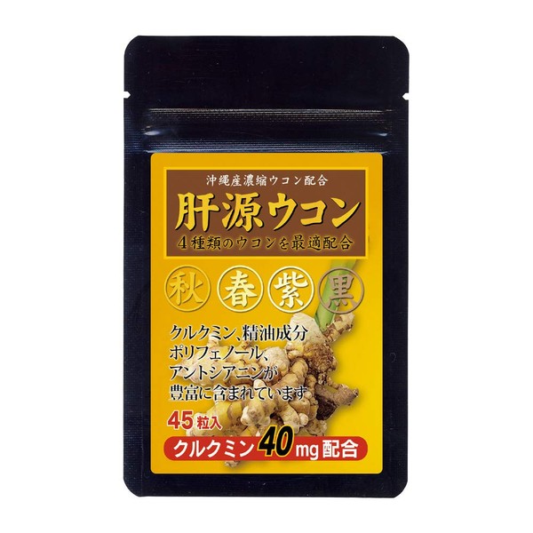 大日ヘルシーフーズ 肝源ウコン 45粒入×1袋 春ウコン 秋ウコン 紫ウコン 黒ウコン 配合 錠剤タイプ サプリ