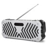 AK316 Wireless Bluetooth Speaker Portable Call HandsFree Card FM Radio