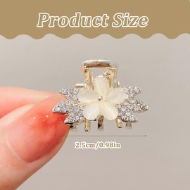 Haarklammer Klein, 5 Stück Metall Mini Haarklammern Klein, Kristalle kleine Haarklammern, Rutschfeste Haarspange Klein, Haarschmuck für Damen und Mädchen (B)