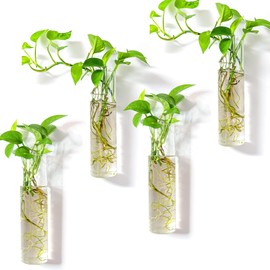 Kingbuy Wall Hanging Planter Glass Plant Propagation Station for Home Office Decor, Large Cylinder, 4 Pack