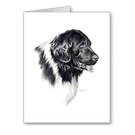 DJ Rogers Fine Art Landseer Newfoundland - Set of 10 Dog Note Cards With Envelopes