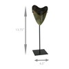 CONTRAST LIVING Mounted Giant 6 Inch Megalodon Shark Tooth Fossil