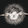 Bokknppo 5 LED Chandelier Bird’s Nest Light Fixture Creative Egg