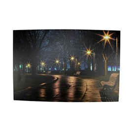 Northlight LED Lighted Nighttime City Park Scene Canvas Wall Art 23.75"