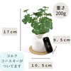 Kishima KH-61247 Artificial House Plants, Fake Green, Artificial Plants, Never