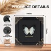 Polyura Nepenthes Butterfly Framed Decoration - Handmade Taxidermy Butterfly Shadow