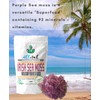 Allital Purple Sea Moss - Raw Wildcrafted St Lucian, 100G