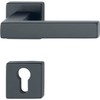HOPPE 12248186 Lever 52-57, AL3 Handle Set Austin-on Rosette PZ,