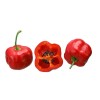 10 Semillas Chile Manzano Rojo Exoticas                                                                                                               