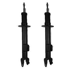 BURANIFUSION 2 Pieces Front Side Shock Absorber Strut Gas Kit RWD Mounting Hardware Power Coat for Dodge Challenger 2008-2010|Dodge Charger 2006-2010|Dodge Magnum 2005-2008 WEF0014