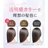 RISHIRIA Furel Color Shampoo (Dark Brown) Exclusive Bottle & Refill