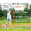 Wagoo Dog Shoulder Lead, Casual, Adjustable Length, Soft Handheld, Small