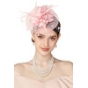 BABEYOND Fascinators Hats for Women - Tea Party Kentucky Fascinator