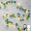 suddus Vines with Lights Plug in, 33ft 100 LED Eucalyptus