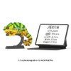JEKCA Chameleon 01S | Lizard Plastic Building Blocks | Age