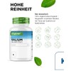 vit4ever Potassium - 365 Capsules - 800 mg Potassium per