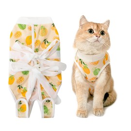 HanryDong Cat Recovery Suit after Neutered Surgery, Small Dog Professional Surgical Bandage Shirt with Breathable Baby Cotton, E-Collar Alternative Elastic Costume for Abdominal Wound/Weaning (size 4)