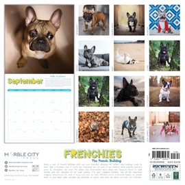 Frenchies Calendar 2026 | French Bulldogs 12” x 24” Interactive Wall Calendar 12 Month | Marble City Press | Dogs Bulldog Frenchie Fun Facts | 2026-2027 Calendar