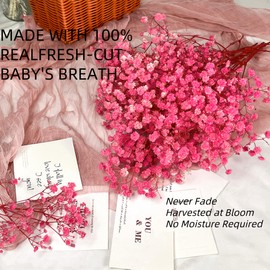 Dried-Babys-Breath-Flowers-Bouquet, 17.2In 2500+ Pink Flower, Natural Gypsophila Branches for Wedding, Valentine's Day, Dry Flowers Bulk for Vase, Home Party Decor, DIY Wreath Floral(3Oz Pink)