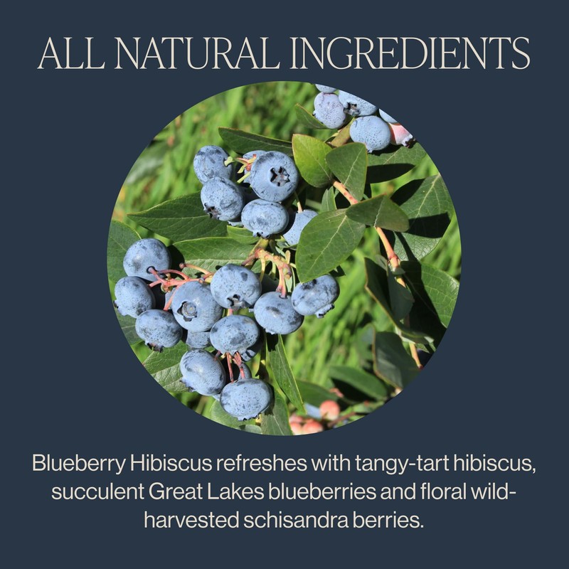 Rishi Tea Blueberry Hibiscus Herbal Tea - USDA Organic, Direct
