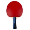 Butterfly Timo Boll Sapphire Table Tennis Bat, ITTF Certified Addoy