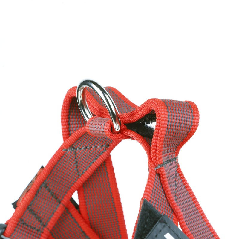 Julius-K9 16IDC-M-R-2015 IDC Color & Gray Belt Harness for Dogs,