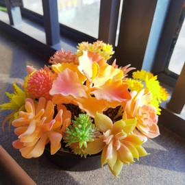 Urier 12 Pieces Orange Fake Succulent Plant,Mini Artificial Succulents,Artificial Air Plants That Look Real,Plastic Plant for Garden & Outdoor Home Décor (Orange)