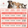 KYEESE Paquete de 2 Camisetas A Rayas para Perros, Suaves,