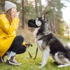Dog Muzzle Soft Breathable Mesh - Adjustable Reflective Anti-Bark, Anti-Bite