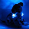 LEUCHTIE® Mini Light Collar I LED Collar for Small Dogs