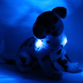 LEUCHTIE® Mini Light Collar I LED Collar for Small Dogs I Waterproof I Extremely Bright