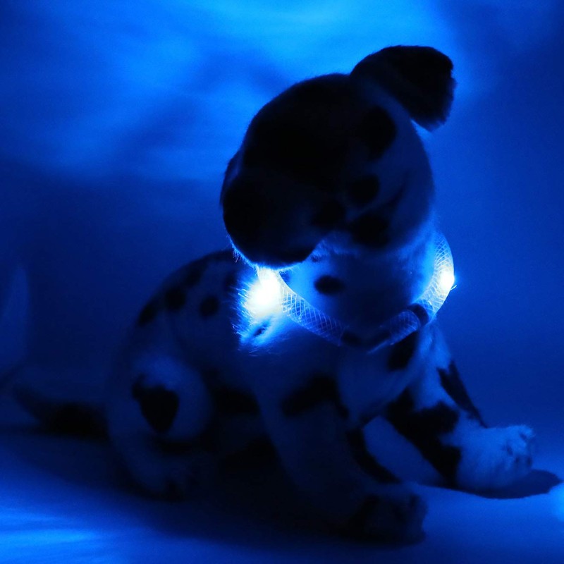 LEUCHTIE® Mini Light Collar I LED Collar for Small Dogs