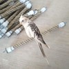 Parrot Climbing Rope Perch - Bird Cage Swing Stand, Spiral