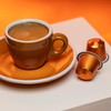 Cru Kafe Bright Roast USDA Organic Espresso Coffee Capsules (10