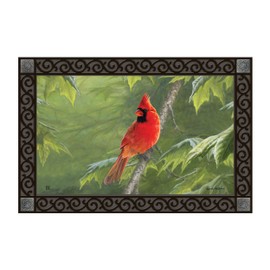 Studio M MatMates Cardinal Decorative Floor Mat Indoor or Outdoor Doormat with Eco-Friendly Recycled Rubber Backing, 18 x 30 Inches