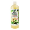 Shampoo Baño Botanico Extracto De Jengibre (crecimiento)1 Lt
